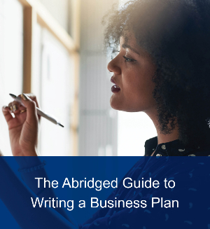 The Abridged Guide to Writing a Business Plan thumbnail image