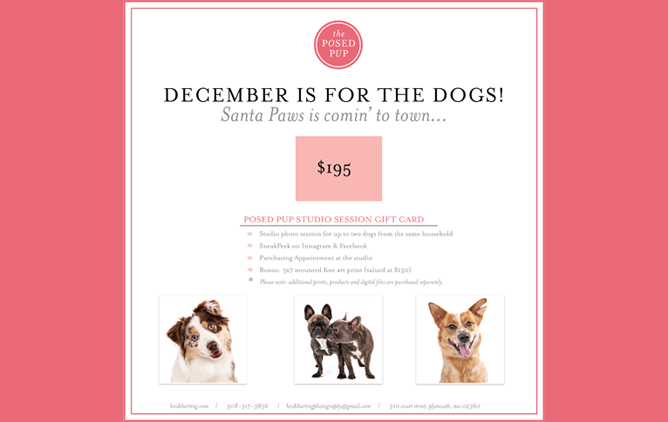 Rockland Trust small business shopping guide presents Heidi Harting Photography in our 2025's guide. 